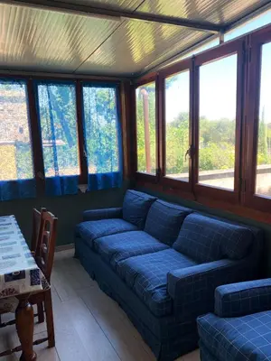 a living room with a blue couch and windows at Villa Elena in Rome