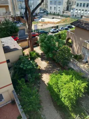 an overhead view of a yard with bushes and a tree at Villa Elena in Rome