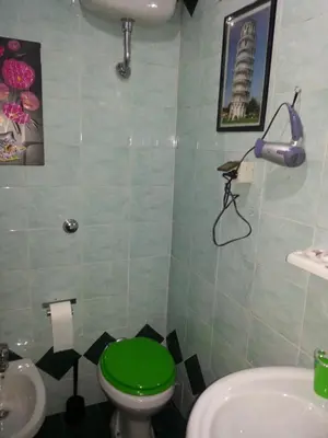 a bathroom with a green toilet and a sink at Roxena house in Rome