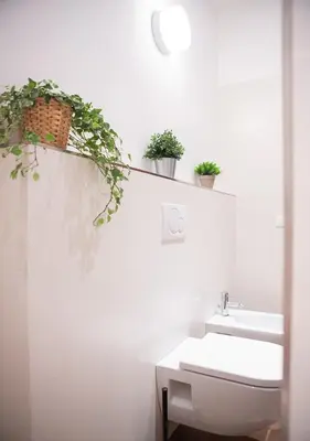 a bathroom with plants on a shelf above a sink at Termini Alever apartament 3 bedrooms in Rome