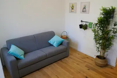 a blue couch in a living room with two plants at Santo Apartment in Trastevere in Rome