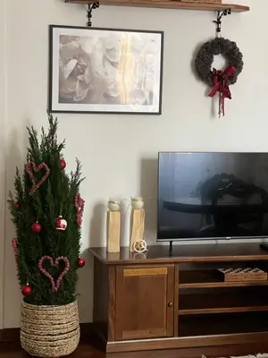 a living room with a tv and a christmas tree at Casa Fiore in Rome