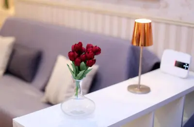 a vase of red flowers on a table with a lamp at Apartment Felice in Rome