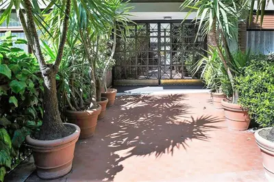 a courtyard with a bunch of palm trees and plants at Alle Mura Aurelie Apartment in Rome