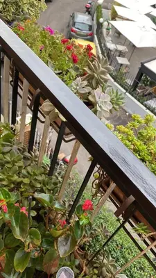 a bunch of plants on a wooden railing at Semini di nostalgia in Rome