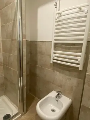 a bathroom with a sink and a shower at Eureka Rooms in Rome