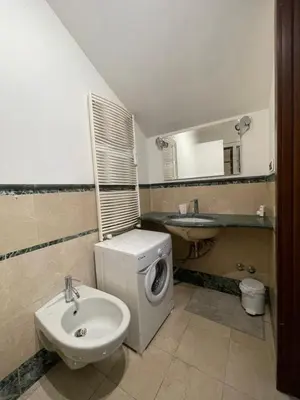 a bathroom with a toilet and a sink at Gens Julia in Rome