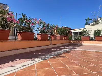 a row of potted plants on a balcony at Little Aventino BnB in Rome