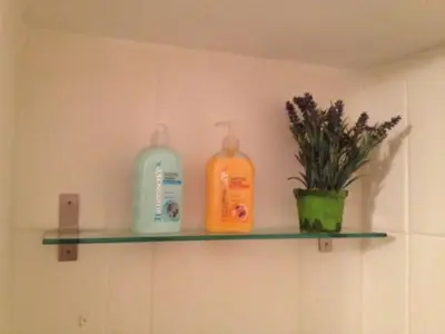two bottles of soap and a plant on a shelf at Casina Roma, 2 min to Piazza Navona in Rome