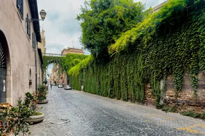 an alley with ivy on the side of a building at Monserrato Charme Apartment - Campo dei Fiori in Rome