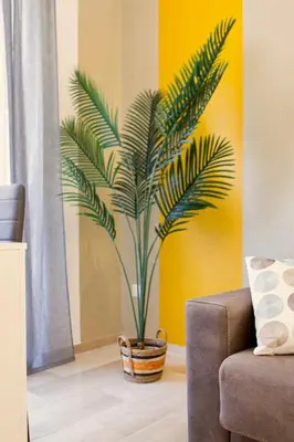 a green plant in a basket in a living room at Elide - Nido d'amore in Ponte Milvio con Balcone in Rome