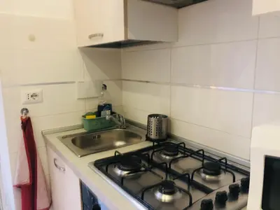 a kitchen with a stove and a sink at Colibrì Apartment in Rome