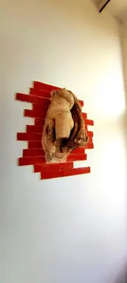 a skull on a wall in a room at appartamento panoramico su Roma in Rome