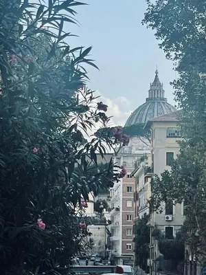 a city street with buildings and a domed building at A due passi da San Pietro in Rome