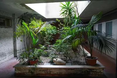 a garden with many plants in a building at San Peter loft in Rome