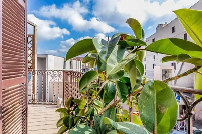 a plant on a balcony with buildings in the background at Casa Caracciolo Roma Vaticano in Rome
