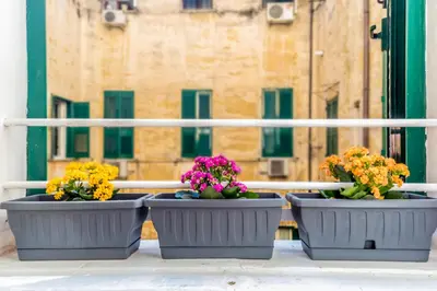 three pots of flowers on a balcony with a view at Vatican Blue Sky in Rome