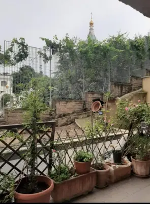 a group of potted plants on a balcony with a fence at Loft Shabby Chic con vista vicino al Vaticano in Rome