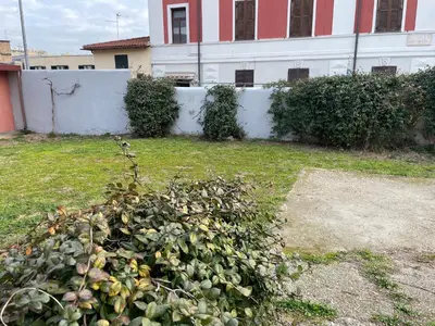 a pile of vegetation in a yard in front of a building at BORGO PESCI in Rome
