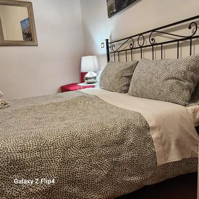 a bedroom with a large bed with a black frame at SweetHouseVittorio in Rome