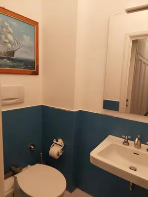 a bathroom with a white toilet and a sink at Appartamento con giardino in zona Ponte Milvio e Stadio Olimpico in Rome