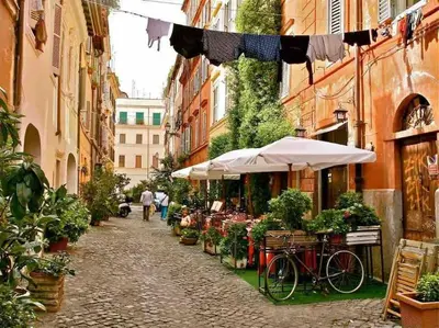 a street with a market with bikes and umbrellas at L’oasi di Trastevere in Rome