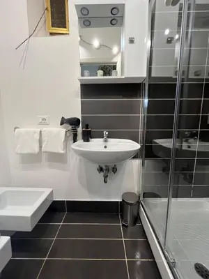 a bathroom with a sink and a shower at L’oasi di Trastevere in Rome