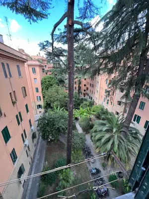 a view of a courtyard with trees and buildings at Enjoy Vatican Holiday in Rome in Rome