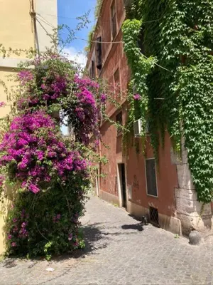 an alley with purple flowers on the side of a building at Scarpetta32 - Your home in Trastevere in Rome