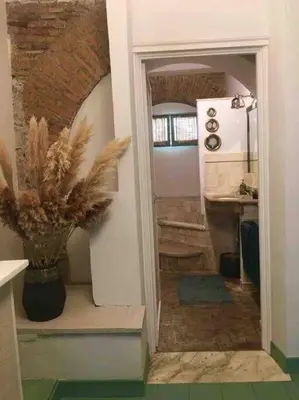 a kitchen with a potted plant in the doorway at Farnese Muse in Rome