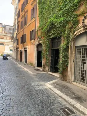 an ivy covered building on a cobblestone street at Farnese Muse in Rome