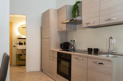a kitchen with wooden cabinets and a sink at Domus Opimiani in Rome