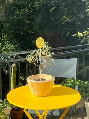 a yellow table with a potted plant on it at Orti18 - Ponte Milvio in Rome
