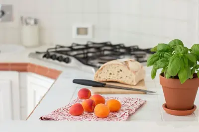 a plate of fruit on a counter with a potted plant at Appartamento di Charme San Giovanni - Colosseo in Rome
