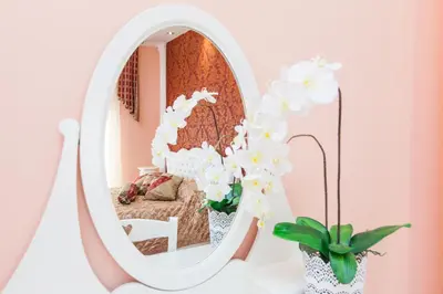 a white mirror with white flowers and a plant at Impero Vaticano San Pietro in Rome