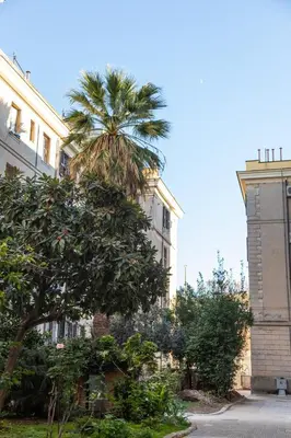 a palm tree in front of a building with a tower at Testaccio Boutique Apartment in Rome in Rome