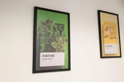 two framed pictures of plants on a wall at Casa di Marianna e Vittorio al Gemelli in Rome