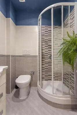 a bathroom with a toilet and a shower at YCH-Cozy Flat at the Vatican in Rome