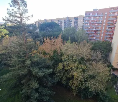 an aerial view of trees and buildings in a city at Dreamy Family Getaway Guest House Roma 2BR,2BA in Rome