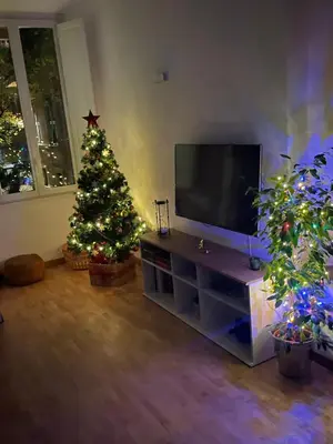 a living room with a christmas tree and a television at La Casa Romana in Rome