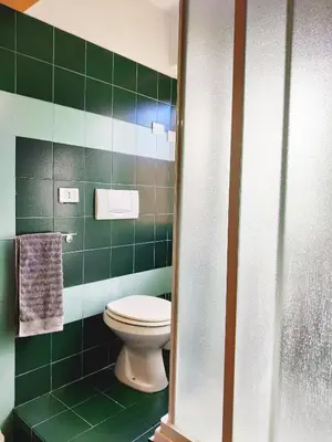 a bathroom with a toilet and green tiled walls at Bright Penthouse 2 M stops from Vatican Museums in Rome