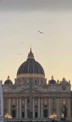 a large building with birds flying in the sky at Dolce Casa in San Pietro in Rome