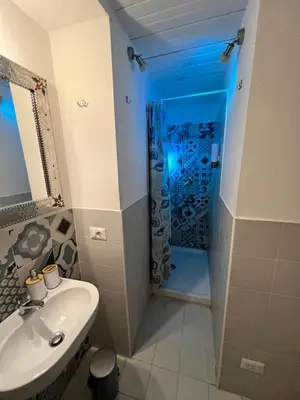 a bathroom with a shower and a white sink at Dolce Casa in San Pietro in Rome