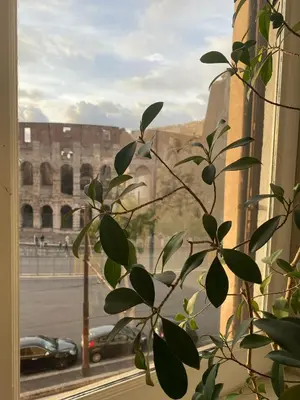 a plant in a window with a view of the coliseum at Colosseum Luxury Apartment in Rome