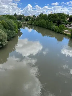 a river with trees and clouds in the water at Home Rent Mancini in Rome