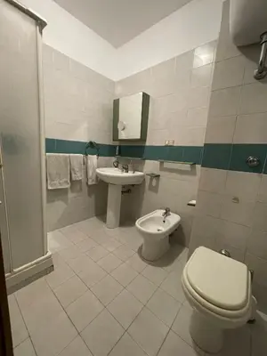 a bathroom with a toilet and a sink at Stanza classica Eur Tintoretto in Rome
