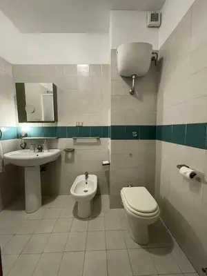 a bathroom with a toilet and a sink at Stanza classica Eur Tintoretto in Rome