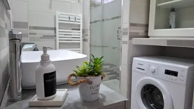 a bathroom with a washing machine and a plant at FaMaCrì Home in Rome