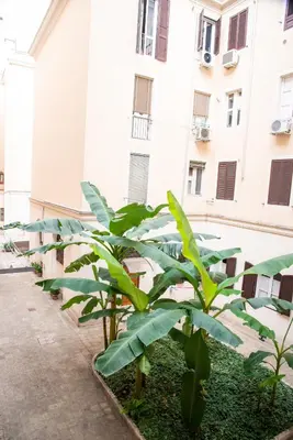 a row of banana trees in front of a building at Piazza Testaccio Home appartamento E 2 Accogliente e Silenzioso in Rome