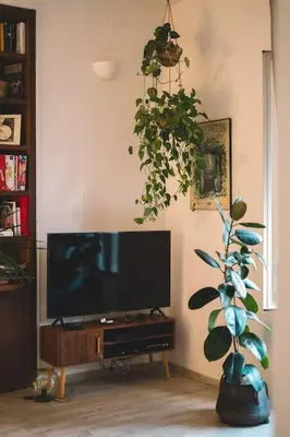 a living room with a television and a potted plant at Vaticano/Trastevere Floreal Suite in Rome